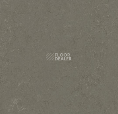 Кварцвиниловые полы Forbo Marmoleum Click 333723-633723 nebula фото 1 | FLOORDEALER